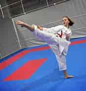 Bildresultat för World Suomi Urheilu Kamppailulajit Karate. Storlek: 175 x 185. Källa: www.ess.fi