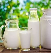 奶製品有哪些 的圖片結果. 大小：177 x 185。資料來源：www.tzixun.com