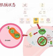 Image result for 生酮作用. Size: 176 x 185. Source: www.zhihu.com