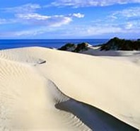 Image result for �sa Sand. Size: 197 x 115. Source: www.kenduncan.com