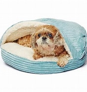 Image result for Precious Tails Cozy Corduroy Sherpa Lined Cave Pet Bed%2c Blue%2c Small. Size: 176 x 185. Source: www.kohls.com
