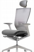 Biletresultat for SIDIZ T50 Ergonomic Office Chair High Performance Home Office Chair with Adjustable Headrest Lumbar Support 3d Armrest seat Depth Mesh BACK. Storleik: 120 x 185. Kjelde: www.amazon.com.au