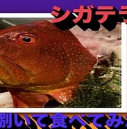 Image result for シガテラ毒魚. Size: 183 x 185. Source: www.youtube.com