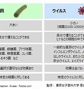 ウイルスとウイルスの違い に対する画像結果.サイズ: 175 x 185。ソース: qlife.jp