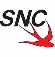Image result for Snc-333gyn. Size: 181 x 185. Source: www.logotypes101.com