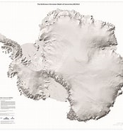 Image result for Arctapodema Antarctica Order. Size: 174 x 185. Source: www.livescience.com