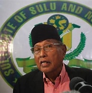 Image result for Sabah Sultanate of Sulu. Size: 182 x 185. Source: philnews.ph