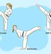 Bildresultat för Karate Perustajat. Storlek: 174 x 185. Källa: wiki.talkie.id