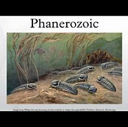 Image result for Phanerozonia. Size: 186 x 185. Source: www.youtube.com