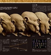 類人類 的圖片結果. 大小：174 x 185。資料來源：www.fukkan.com