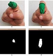 Image result for Fingerlaunch. Size: 175 x 185. Source: www.mdpi.com