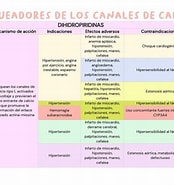 Image result for Bloqueador de los canales calcio. Size: 174 x 185. Source: www.udocz.com