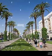 Image result for Nouvelle Avenue. Size: 172 x 185. Source: www.alamy.com