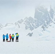 Image result for polarområder. Size: 188 x 174. Source: www.hurtigruten.dk