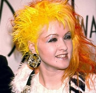 Image result for Cindy Lauper Occupations. Size: 192 x 185. Source: www.worldemand.com