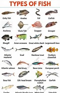 Afbeeldingsresultaten voor Fishes of the World Online. Grootte: 120 x 185. Bron: eslforums.com