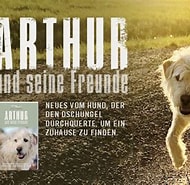 Image result for Hunden Arthur film. Size: 190 x 185. Source: www.vox.de