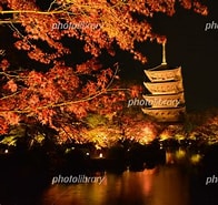 逍遥院 に対する画像結果.サイズ: 196 x 185。ソース: www.photolibrary.jp