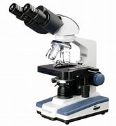 Risultato immagine per Microscope related items. Dimensioni: 170 x 185. Fonte: www.walmart.com
