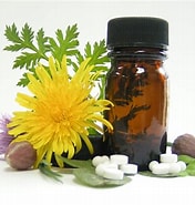 Bilderesultat for Homeopati. Størrelse: 176 x 185. Kilde: deviated-septum.net