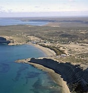 Image result for Municipalidad de Puerto Pirámides. Size: 175 x 185. Source: www.patagonia.com.ar