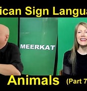 Image result for Sign Language Bill Vicars. Size: 176 x 185. Source: www.youtube.com