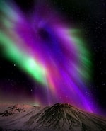 Image result for "scina Borealis". Size: 150 x 185. Source: www.pinterest.es
