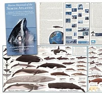 Image result for North Atlantic Register of Marine Species. Size: 202 x 185. Source: www.cetacea.de