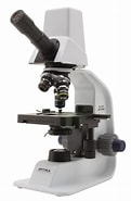 Image result for microscopio A cosa serve. Size: 121 x 185. Source: www.leboriz.com