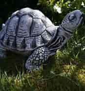 Image result for skildpadder Klasse. Size: 174 x 185. Source: www.magiskhaven.dk