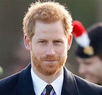 Billedresultat for "Prince Harry" Filter:face. størrelse: 199 x 185. Kilde: www.thefamouspeople.com