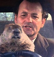 Résultat d’image pour "bill Murray" "Groundhog Day". Taille: 176 x 185. Source: metro.co.uk