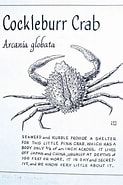 Afbeeldingsresultaten voor "arcania Globala". Grootte: 123 x 185. Bron: www.pinterest.com
