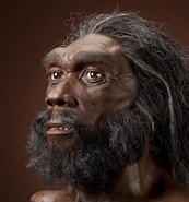 Risultato immagine per Archaic humans Wikipedia. Dimensioni: 173 x 185. Fonte: medium.com