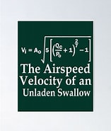 Airspeed Velocity of an Unladen Swallow Quote 的圖片結果. 大小：157 x 185。資料來源：www.redbubble.com