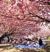 Image result for 静 公園. Size: 176 x 185. Source: www.ibarakiguide.jp