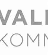 Afbeeldingsresultaten voor Vallensbæk Kommune. Grootte: 162 x 85. Bron: www.flagdagen.dk