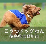 犬用車イスならドッグラン再び＜徳島 に対する画像結果.サイズ: 191 x 181。ソース: dogrun.jpn.org