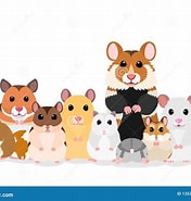 Image result for Hamster Familie. Size: 176 x 185. Source: ar.inspiredpencil.com