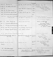 Afbeeldingsresultaten voor Amphiute Paulini Onderrijk. Grootte: 173 x 185. Bron: www.gbif.org