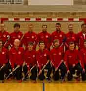 Image result for World Dansk Sport Handicapidræt El-hockey. Size: 176 x 185. Source: mbasic.facebook.com