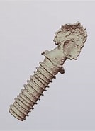 Image result for "Climacocylis scalaria". Size: 134 x 185. Source: sketchfab.com
