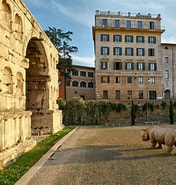 Risultato immagine per RHINOCEROS Roma. Dimensioni: 176 x 185. Fonte: www.wantedinrome.com