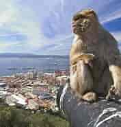 Image result for Fakta om Gibraltar. Size: 177 x 185. Source: www.nothingfamiliar.com