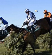 Image result for 2013 Grand National. Size: 174 x 185. Source: www.telegraph.co.uk