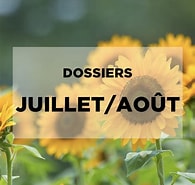 Image result for Juillet. Size: 195 x 185. Source: regie.strategies.fr