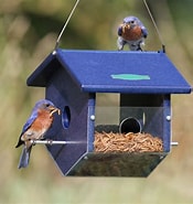 Afbeeldingsresultaten voor Melies worms for Bluebirds. Grootte: 175 x 185. Bron: rotefarben.blogspot.com