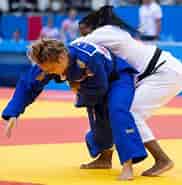 Billedresultat for World Dansk sport kampsport japansk Judo. størrelse: 182 x 185. Kilde: www.dif.dk