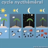 Image result for cycles nycthéméral Wiki. Size: 183 x 185. Source: www.aquaportail.com
