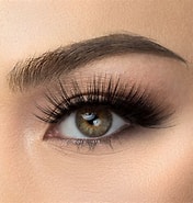 Image result for Opulent Eyelashes. Size: 176 x 185. Source: www.pinterest.co.uk